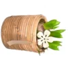 Narcisse tête à tête - Le panier déco