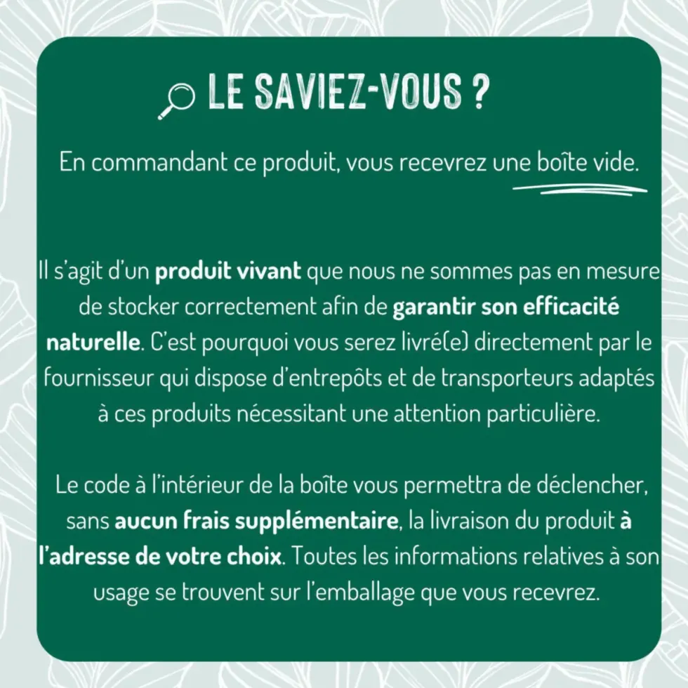 Nématodes contre vers blancs 50 m²