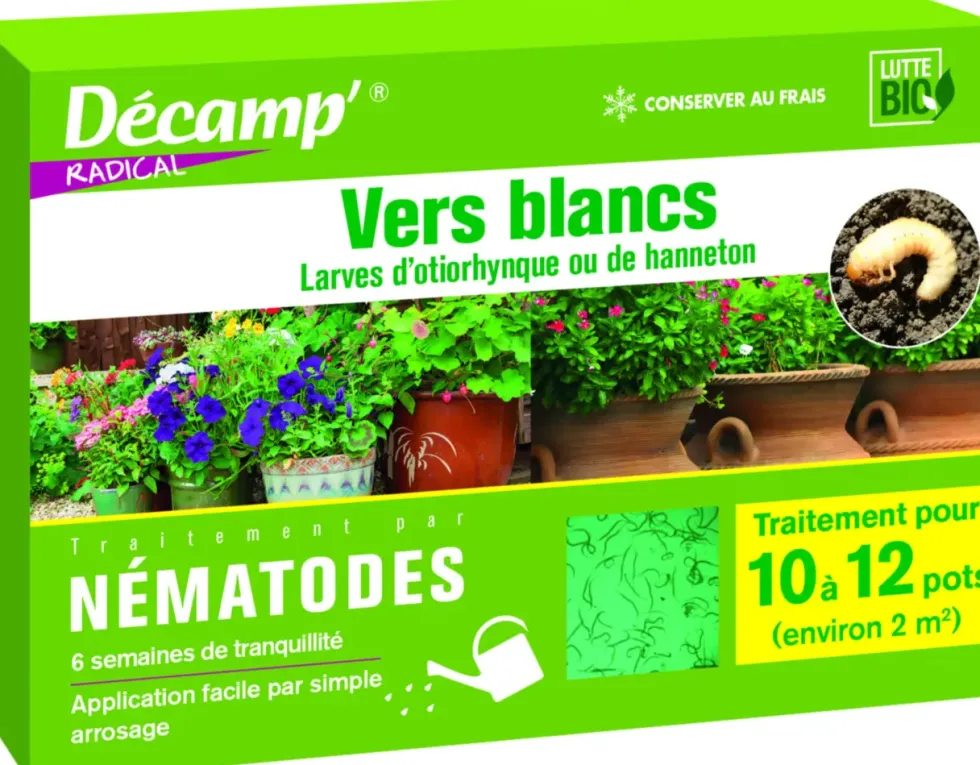 Nématodes contre vers blancs 10 plantes