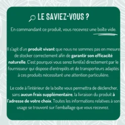 Nématodes contre vers gris 20 m²