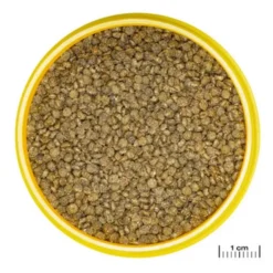 Nourriture pour gourami, granulés ProNovo, JBL - 115g, 250ml