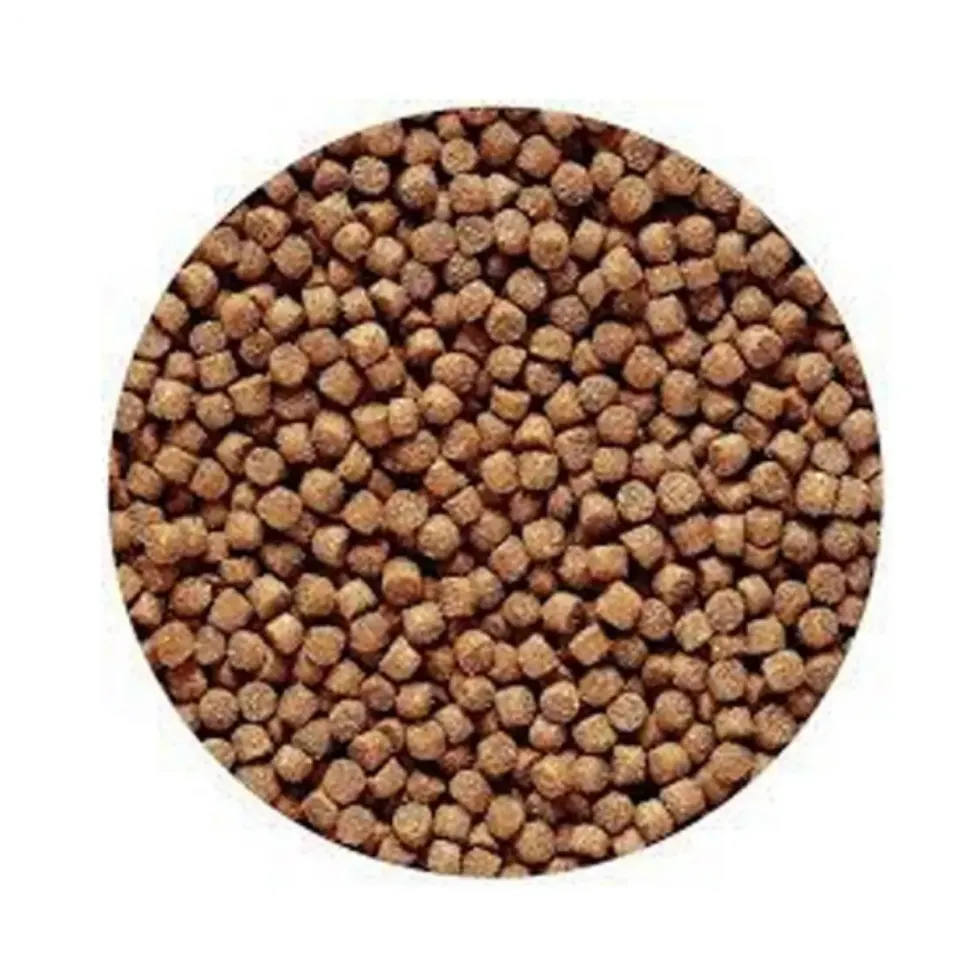 Nourriture pour poissons aquarium, spéciale cichlid - 1kg, HIKARI AQUARIUM - Cichlid Gold