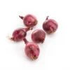 Oignon rouge bio - Prix au kg