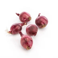 Oignon rouge bio - Prix au kg