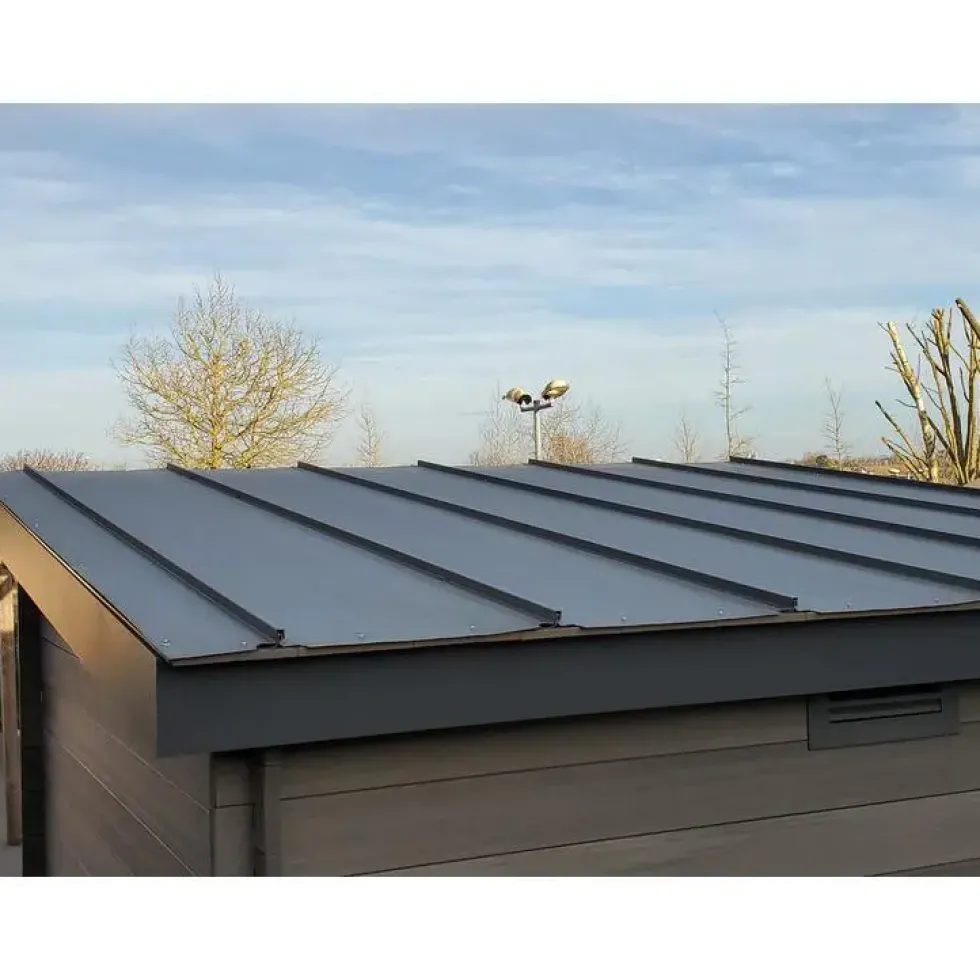 Option toiture bac acier pour abri Green Outside Royan