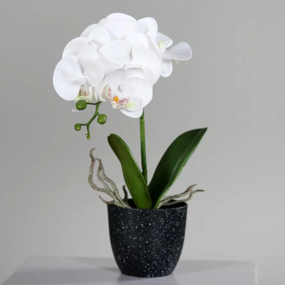 Orchidée Phalaénopsis artificielle blanche en pot céramique crème – 48 cm