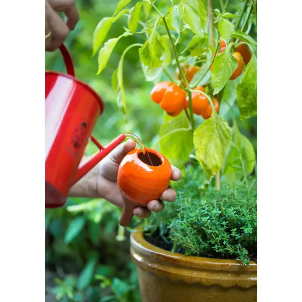 OYAS à planter émaillée Rouge