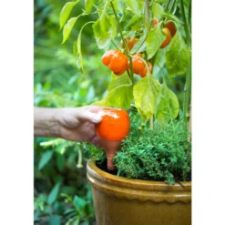 OYAS à planter émaillée Vert anis