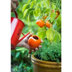OYAS à planter émaillée Vert anis