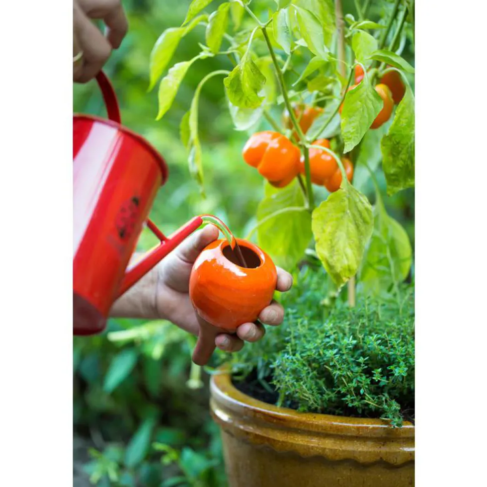 OYAS à planter émaillée Vert anis