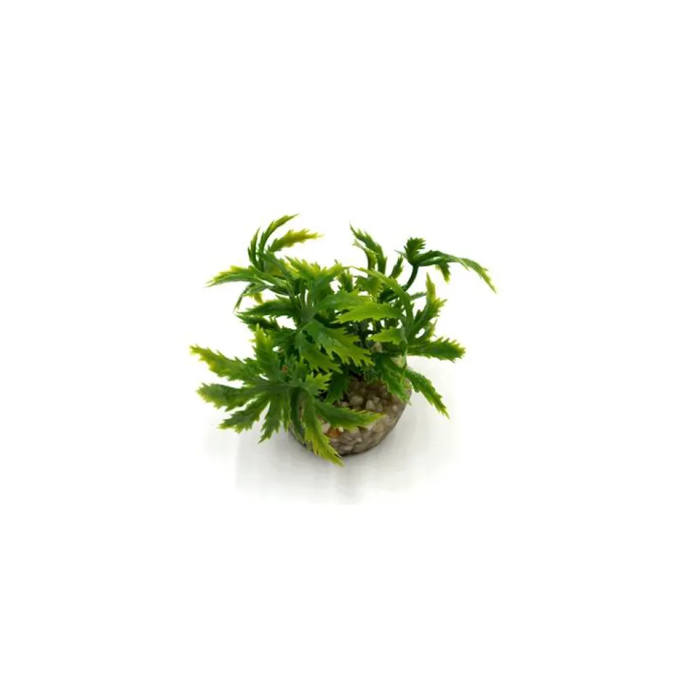 Papyrus vert en plastique 8 cm