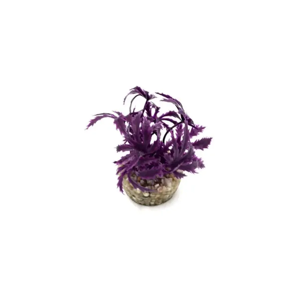 Papyrus violet en plastique 8 cm