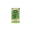 Persil à feuilles Commun 2 Bio Vilmorin - graines à semer