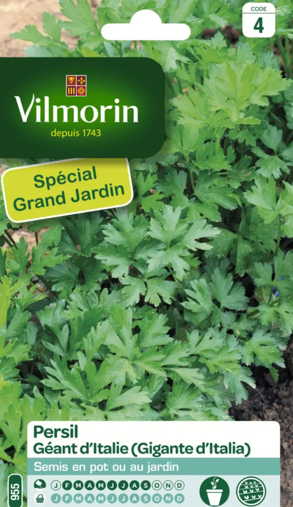 Persil Géant d'Italie Vilmorin - graines à semer