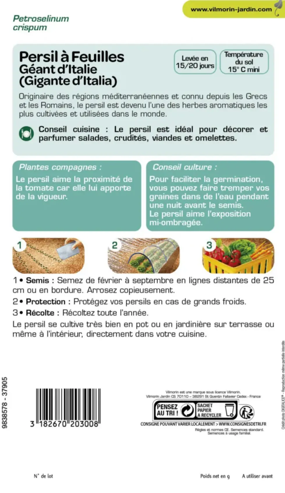 Persil Géant d'Italie Vilmorin - graines à semer