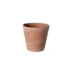 Petit cuvier rose Ø 10 cm