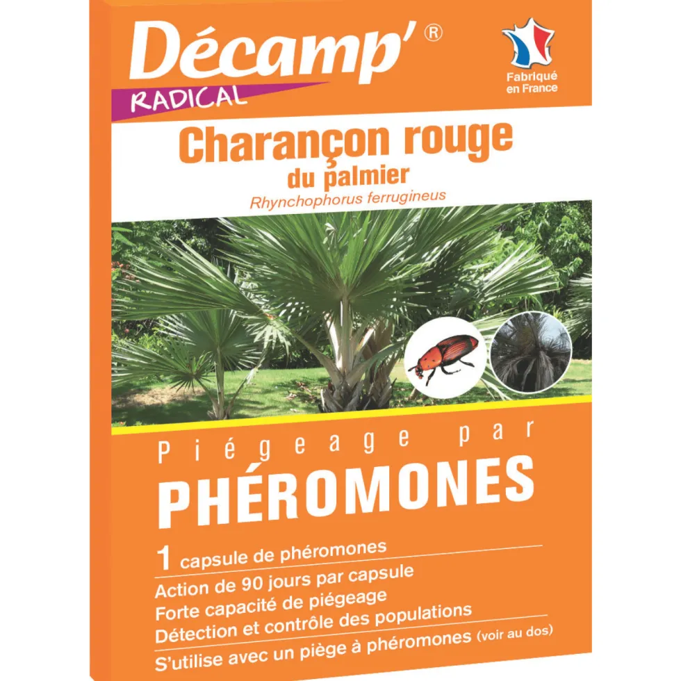 Piégeage par phéromones anti charançon rouge du palmier Décamp