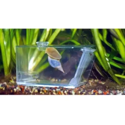 Piège à escargots, AQUA MEDIC Trap-Pest