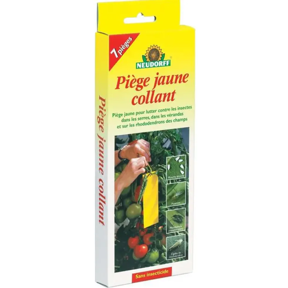 Piège jaune collant