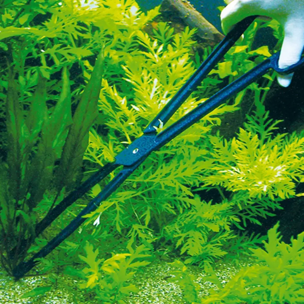 Pince à planter CombiFix longue et robuste - JBL - modèle 46 cm