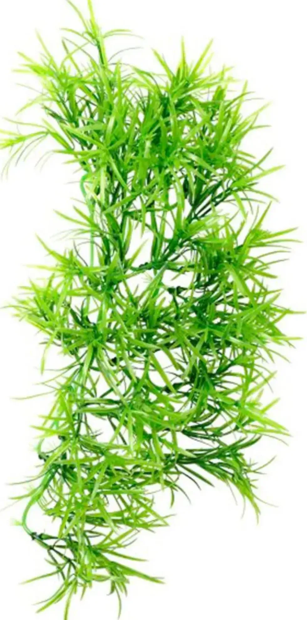 Plante grimpante artificielle pour terrarium coloris vert Hobby Tropica - Taille 37 cm