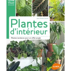 Plantes d'Intérieur 120 pages Éditions Eugen ULMER