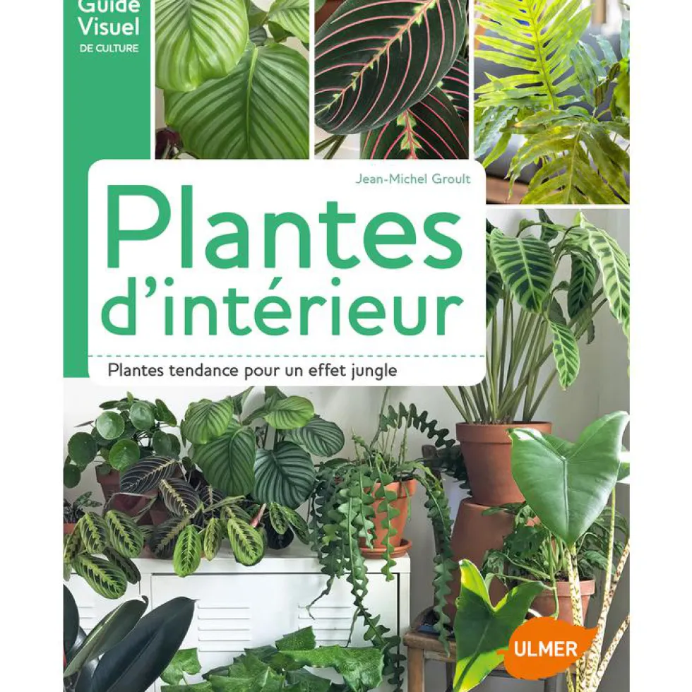 Plantes d'Intérieur 120 pages Éditions Eugen ULMER