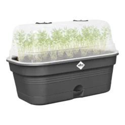 Plateau de culture en plastique recyclé coloris living noir avec couvercle serre Elho Green Basics Allin1 taille M - 18 x 32 x 13,2 cm