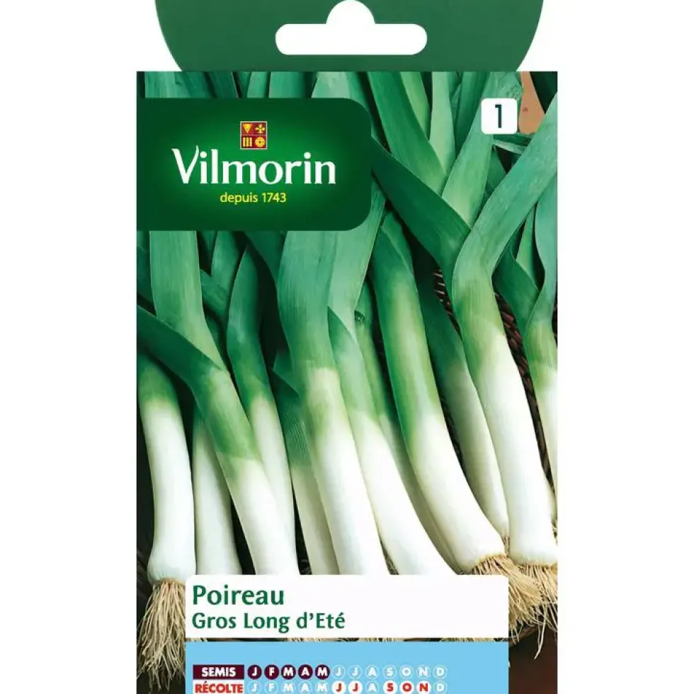 Poireau Gros Long d'Été Vilmorin - graines à semer