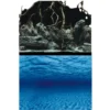 Poster aquarium racine/fond marins AQUA NOVA modèle Roots/Water S - 60x30cm