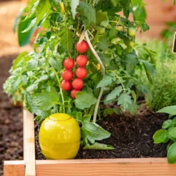 Potager carré en bois de sapin PEFC - 90 x 90 x 16 cm