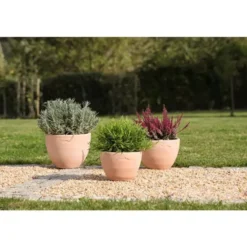 Pot Cuvier bas contemporain en terre claire H 24 x Ø 30 cm