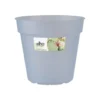 Pot D15 cm provence orchidées Elho transparent