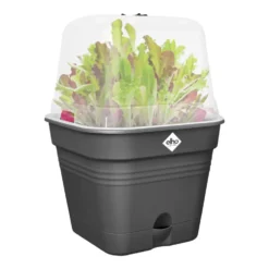 Pot de culture carré coloris living noir Elho Green Basics Allin1 - Ø 15 cm