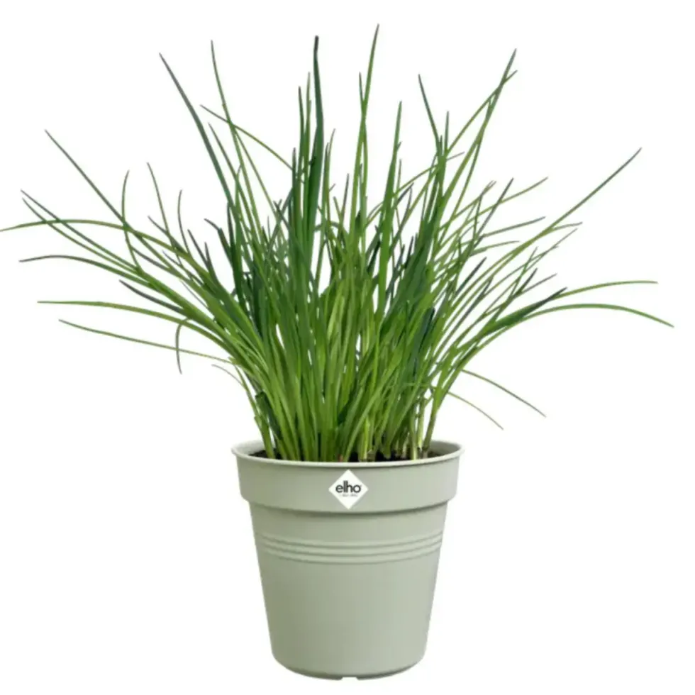 Pot de culture en polypropylène vert pierre Elho Green basics - Ø 15 x H 13,9 cm