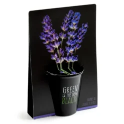 Pot en terre cuite black avec grains de lavande bio Radis & Capucine Green is the new black