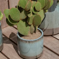 Pot en terre cuite émaillée coloris bleu Deroma Océan - Ø 20 x H 18 cm