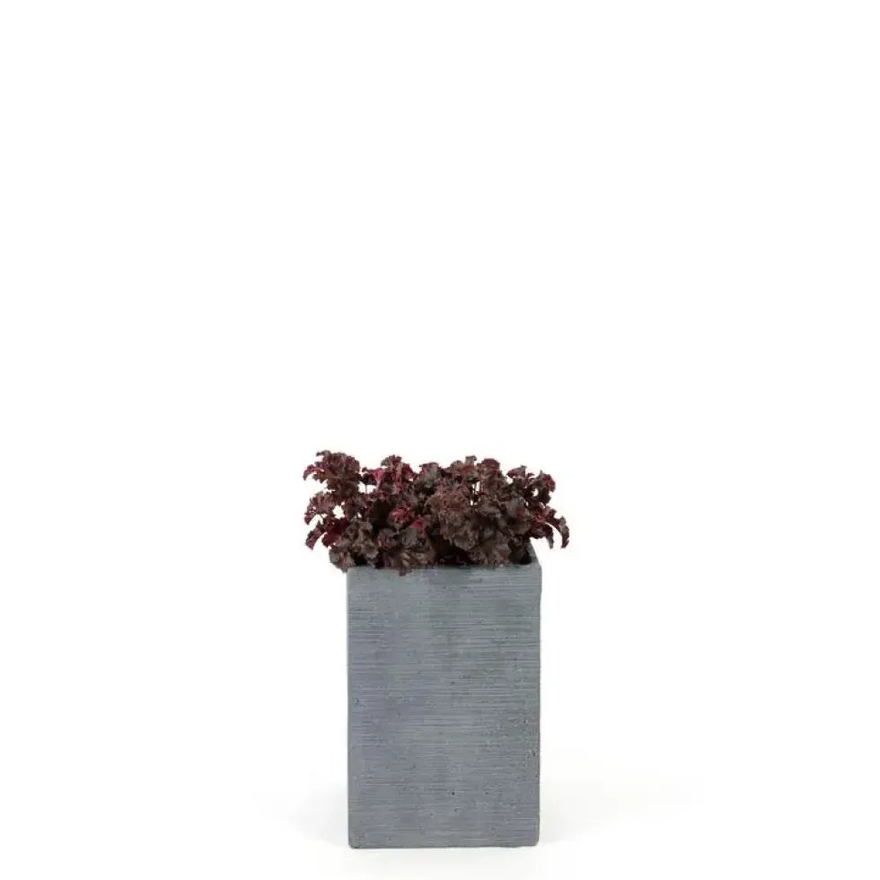 Pot Stream mi haut Anthracite L.25x25 x H.38 cm