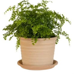 Pot strié gamme cocio liso Ø 24 cm