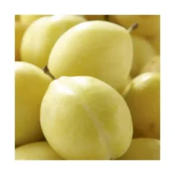 Prunier Miraclaude ® Delclomi. En racine nue, forme gobelet