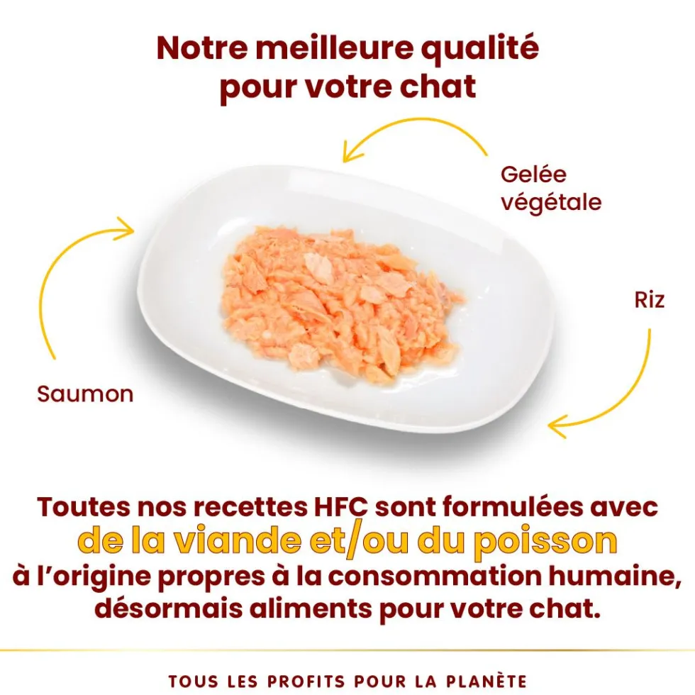 Pâtée pour chat HFC Jelly au saumon Almo Nature - 70 g