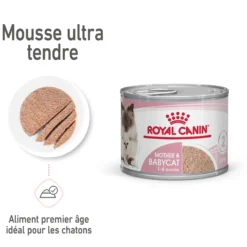 Pâtée pour chatte en gestation ou allaitante et chaton Mousse Royal Canin Babycat Instinctive - 195 g