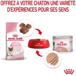 Pâtée pour chatte en gestation ou allaitante et chaton Mousse Royal Canin Babycat Instinctive - 195 g