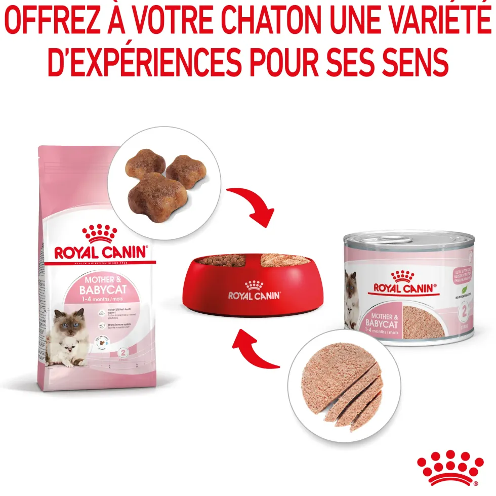Pâtée pour chatte en gestation ou allaitante et chaton Mousse Royal Canin Babycat Instinctive - 195 g