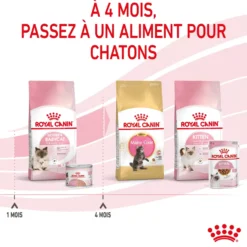 Pâtée pour chatte en gestation ou allaitante et chaton Mousse Royal Canin Babycat Instinctive - 195 g