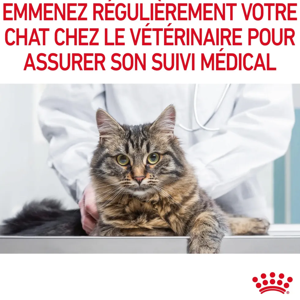 Pâtées pour chat émincés en sauce Royal Canin Appetite Control Care - 12 x 85 g