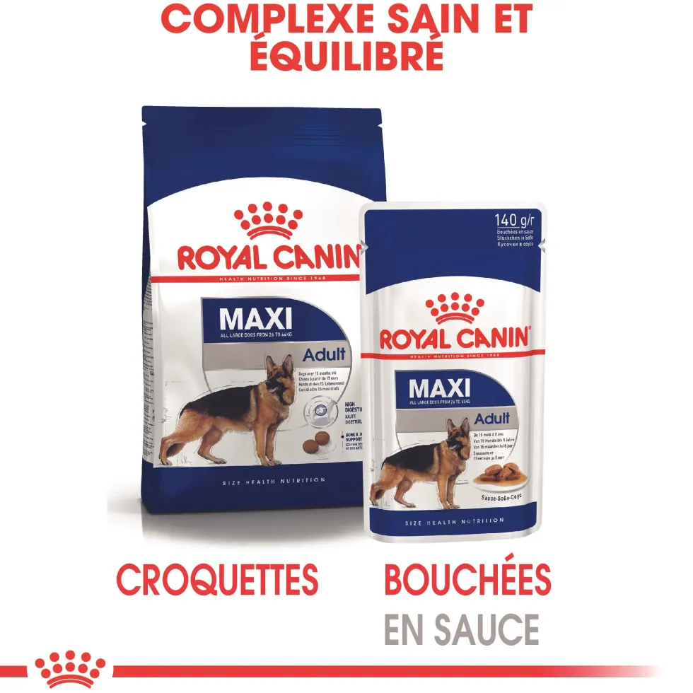 Pâtées pour chien adulte de grande race Royal Canin Maxi Adult - 10 x 140 g