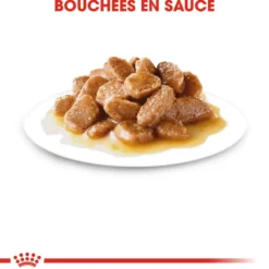 Pâtées pour chien senior de petite race en sauce Royal Canin Mini Ageing 12+ - 12 x 85 g