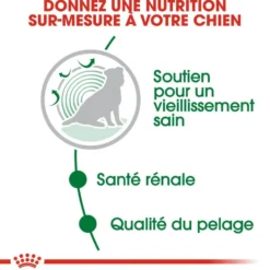 Pâtées pour chien senior de petite race en sauce Royal Canin Mini Ageing 12+ - 12 x 85 g