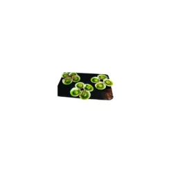 Pétoncles farcis bio Papilles bio - 150 g